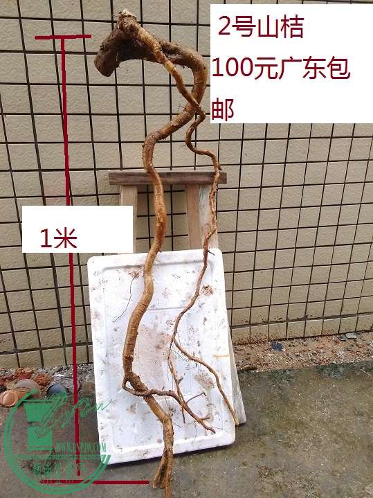 QQͼƬ20160323210719.jpg