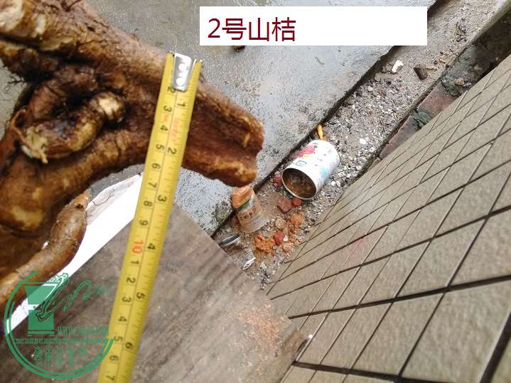 QQͼƬ20160323210724.jpg