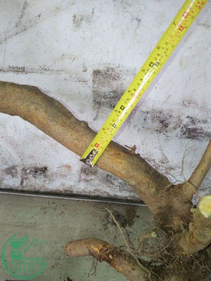 CF8E7F29B9B75DBC464A02EC48D9EF3F.jpg