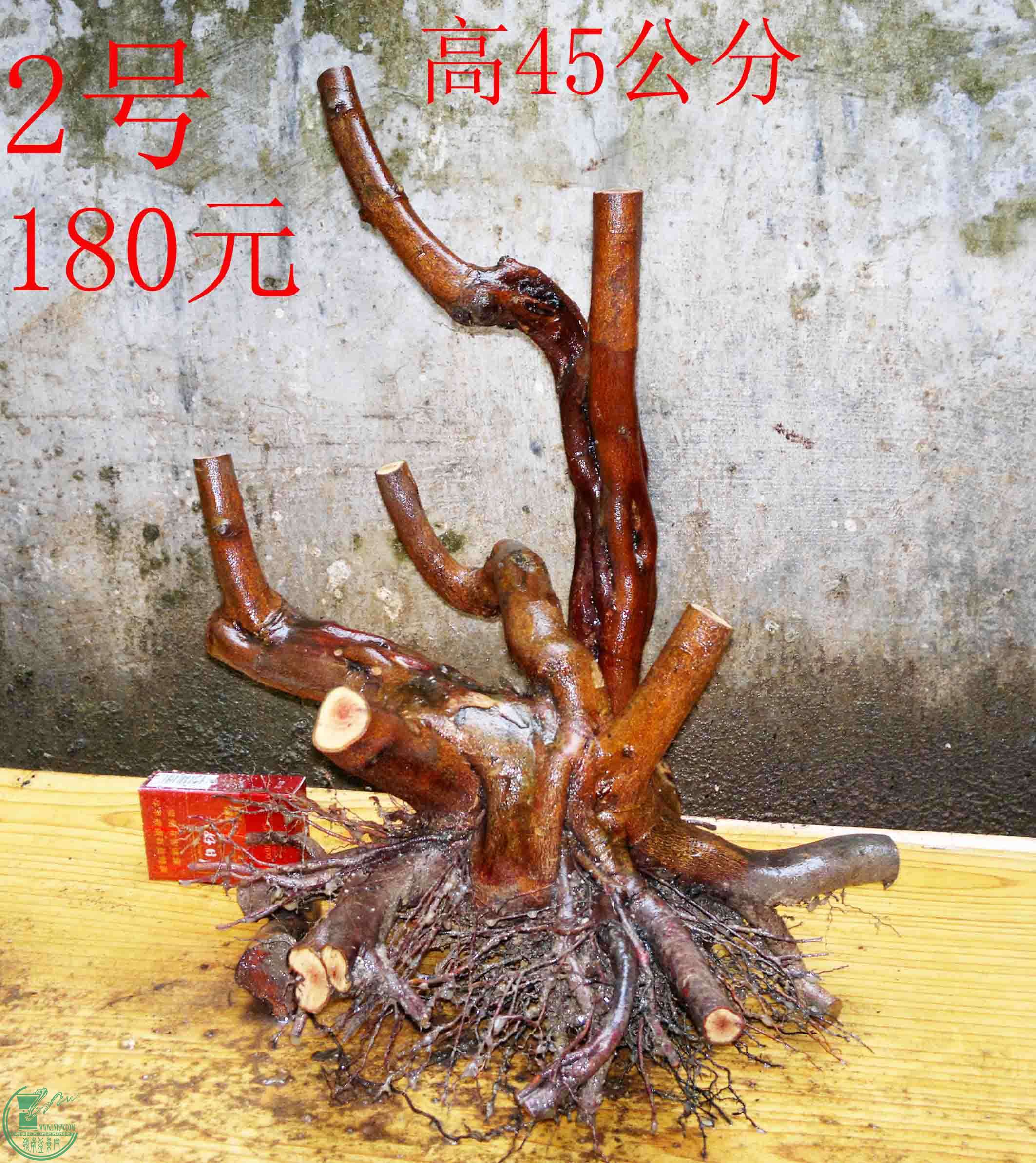 2016032413472.jpg