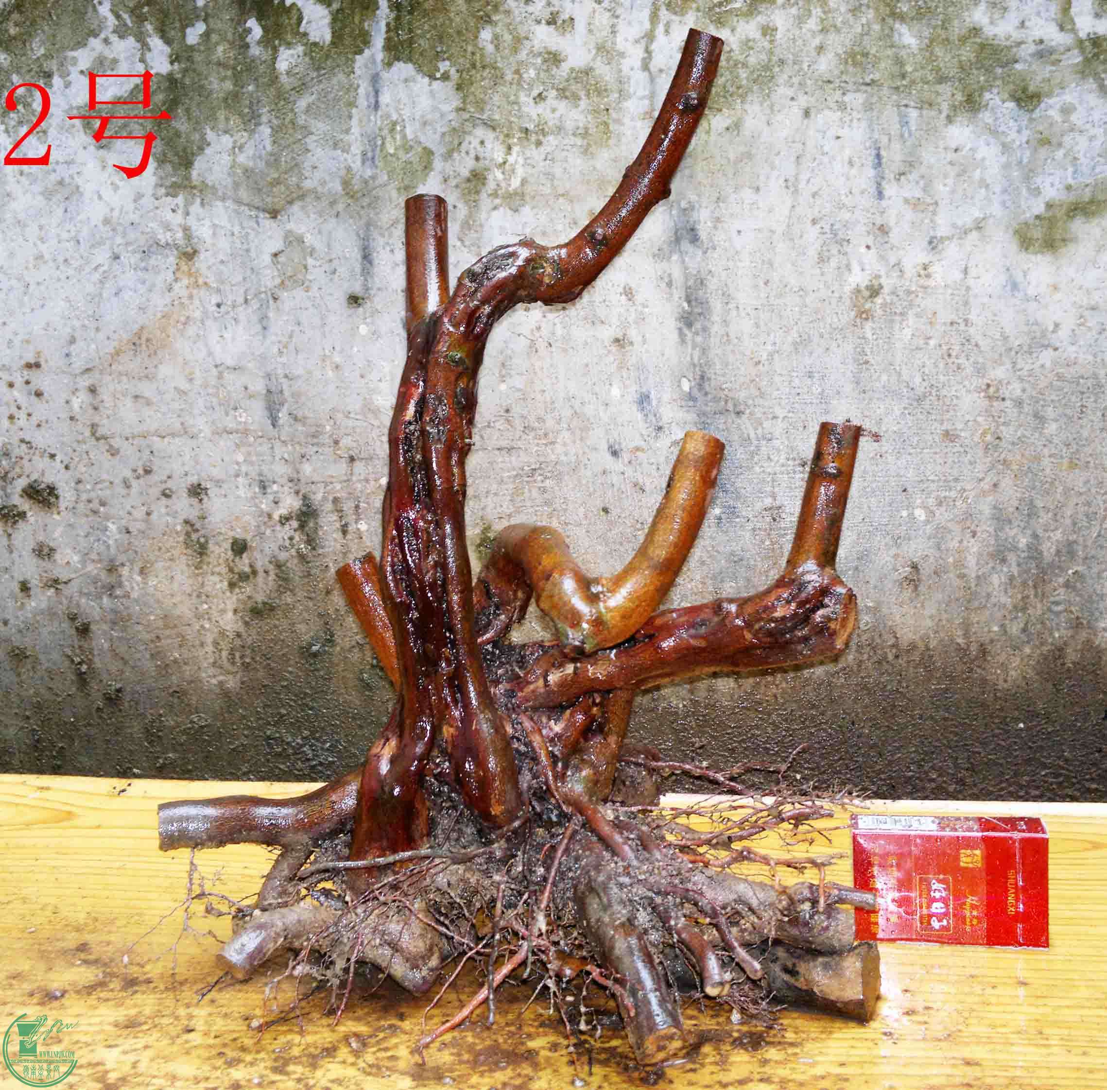 2016032413478.jpg