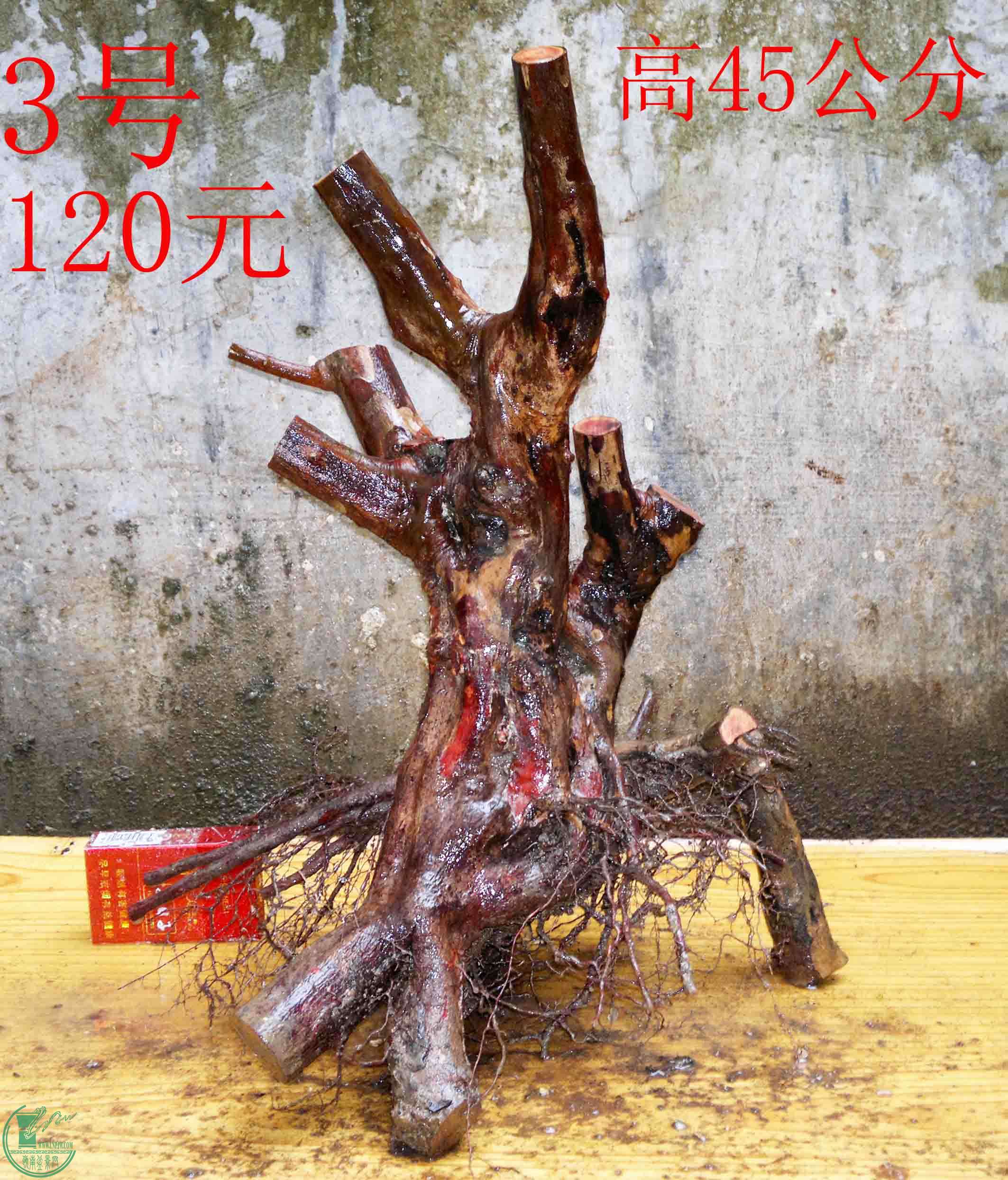 2016032413486.jpg