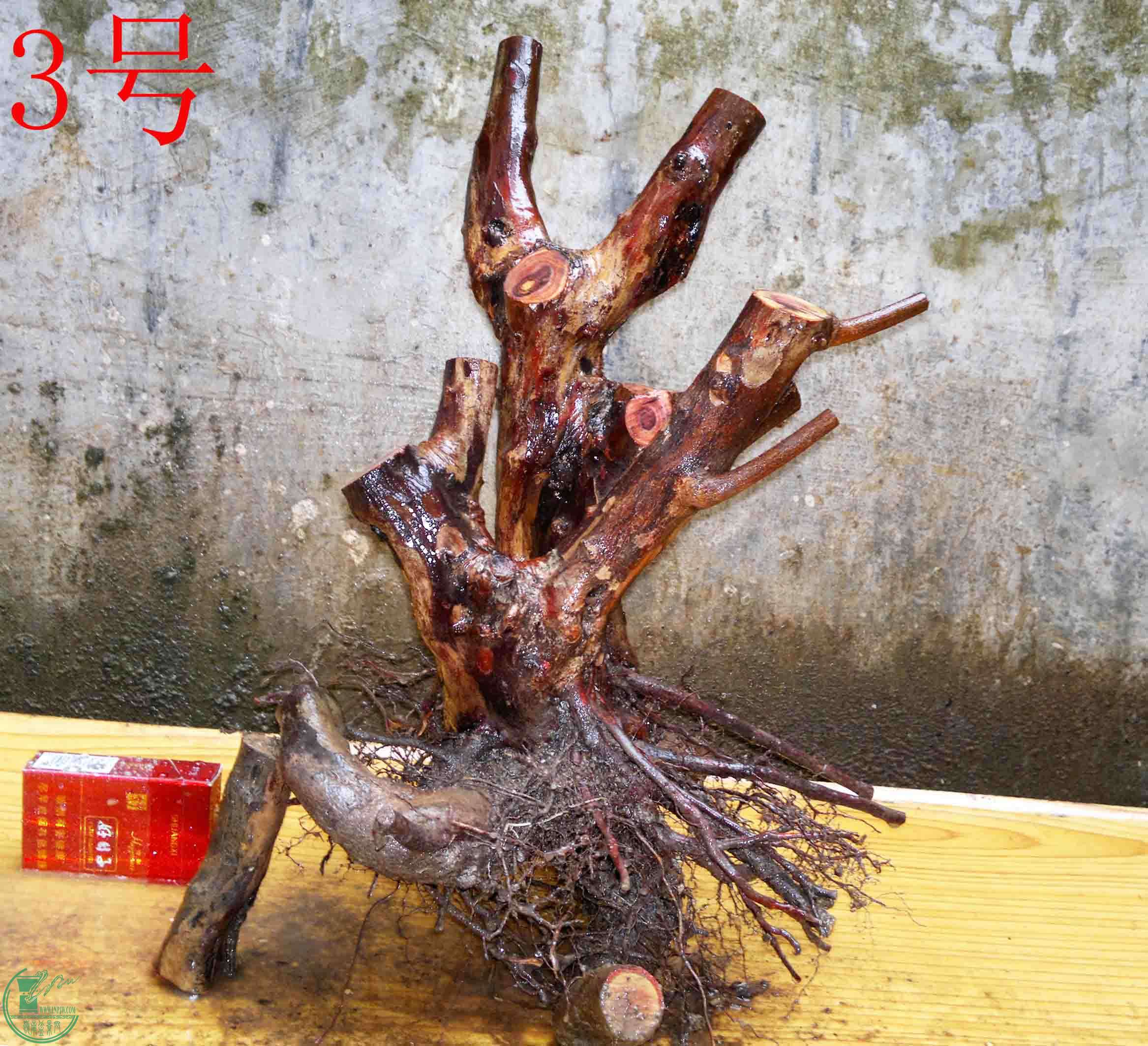 2016032413497.jpg