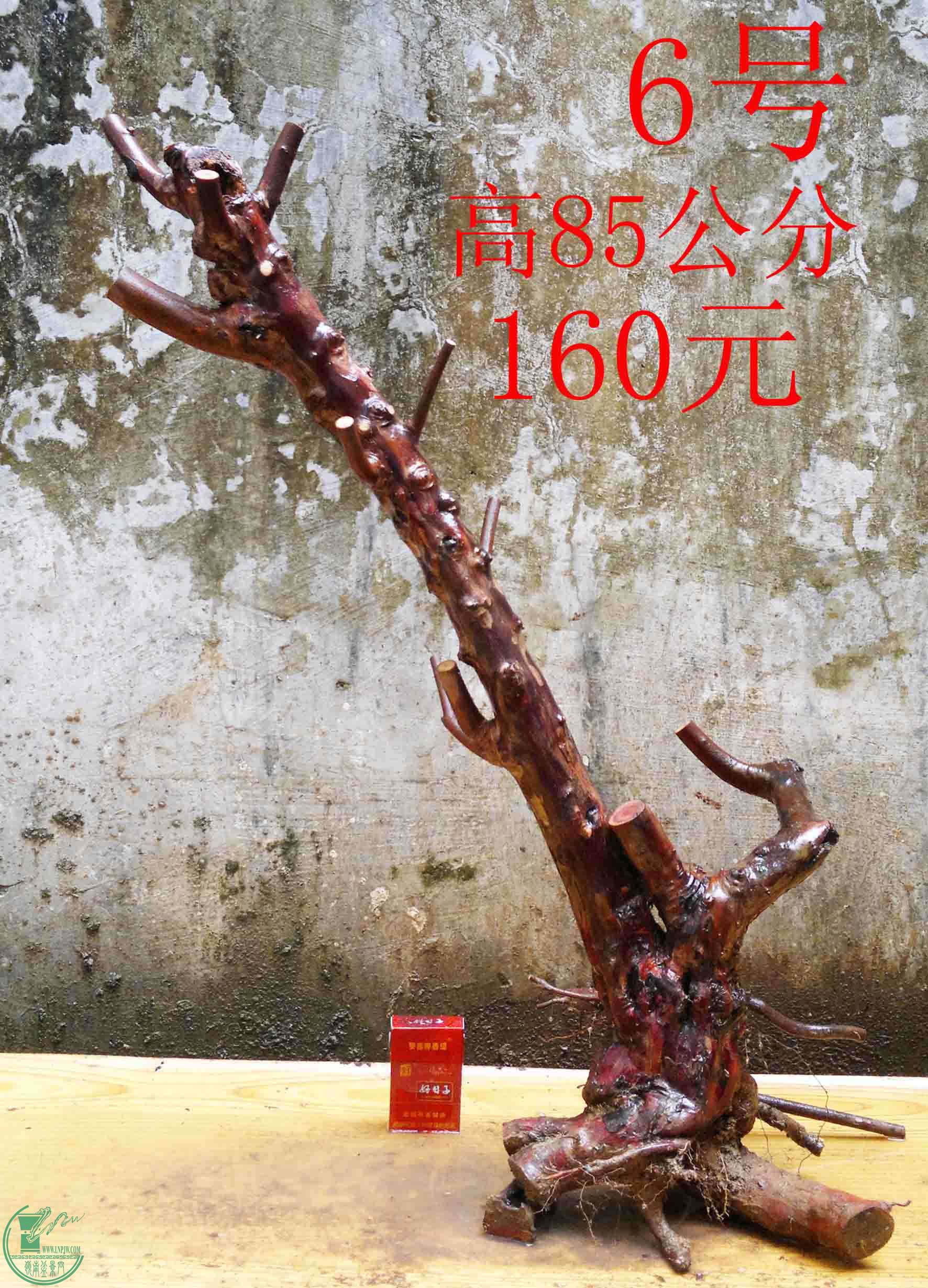 2016032413571.jpg