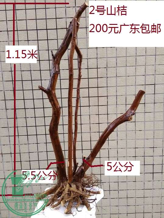 QQͼƬ20160324185651.jpg