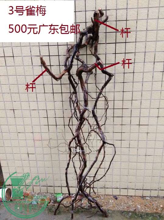 QQͼƬ20160324185729.jpg