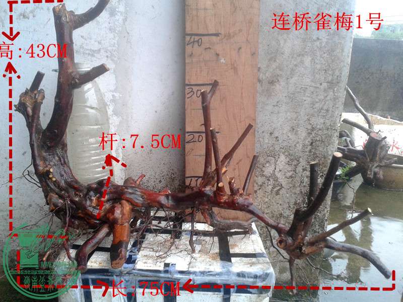 20160324_174404_.jpg