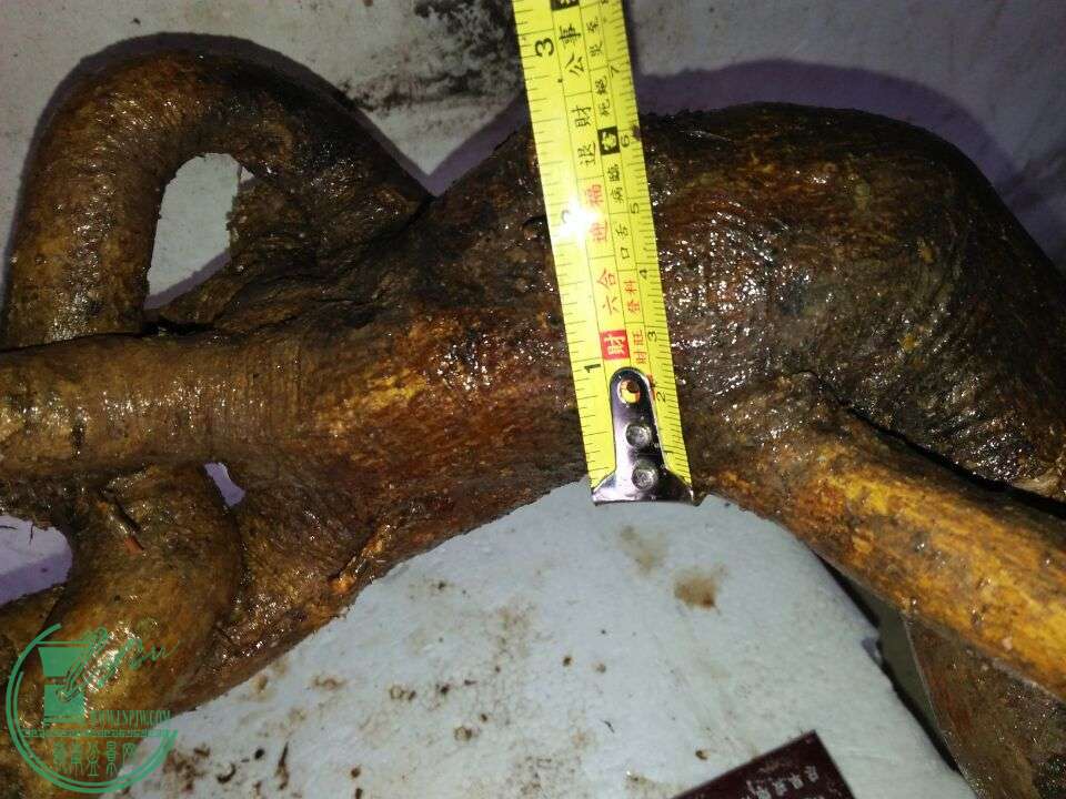 QQͼƬ20160324203835.jpg