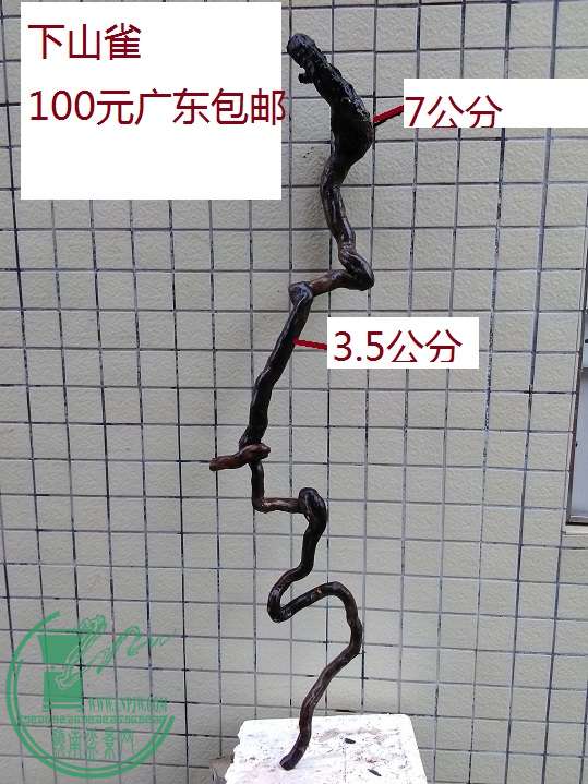 QQͼƬ20160325174407.jpg