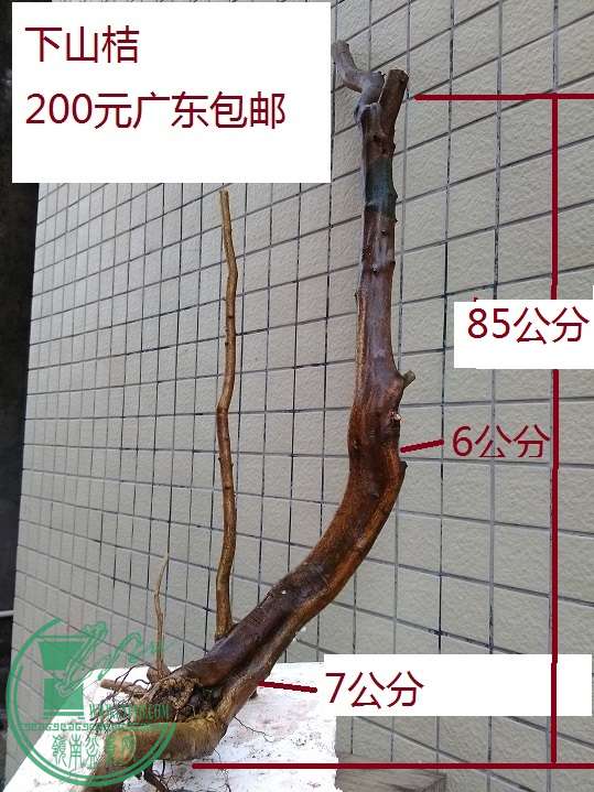 QQͼƬ20160325174518.jpg