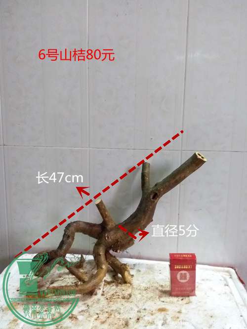 P60325-174758_.jpg