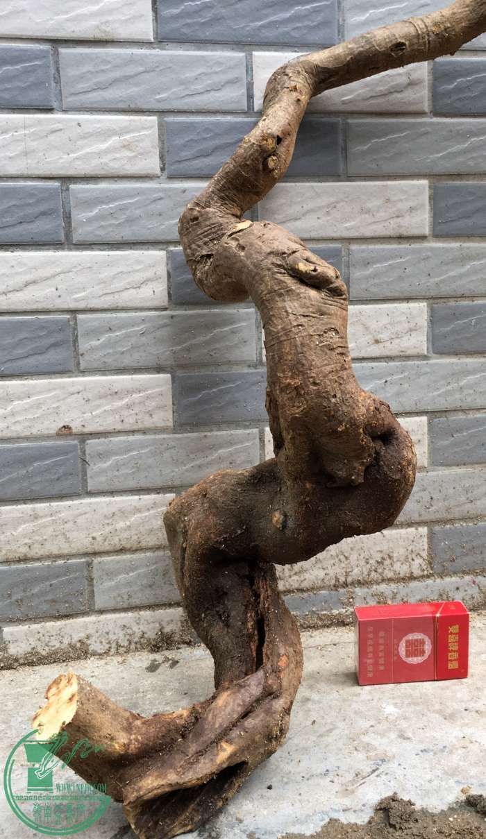 image.jpeg