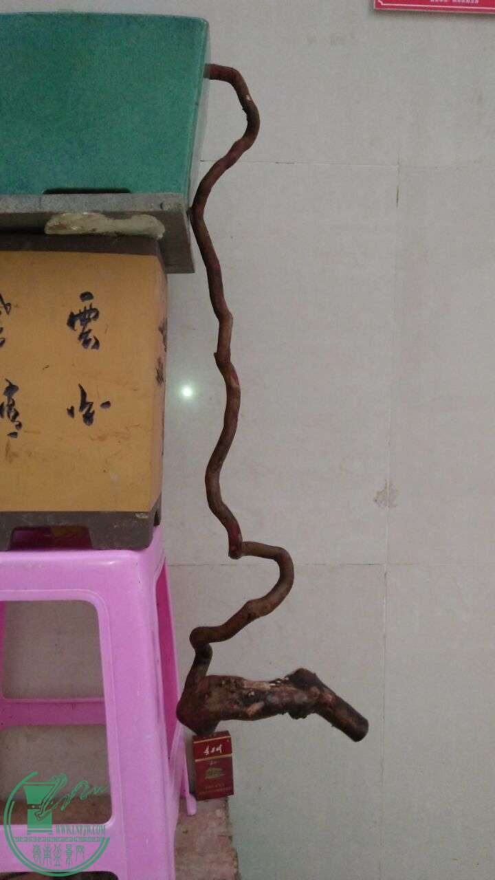 QQͼƬ20160326192619.jpg