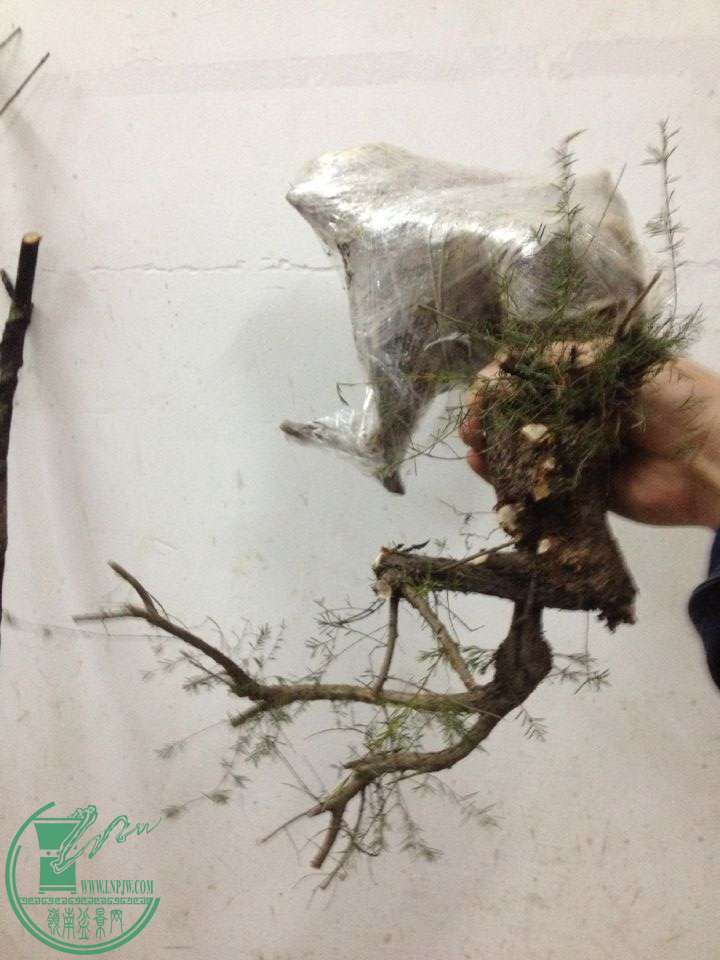 QQͼƬ20160326211124.jpg