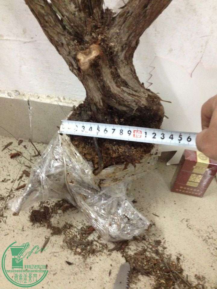 QQͼƬ20160326211444.jpg