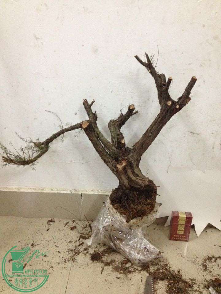 QQͼƬ20160326211402.jpg