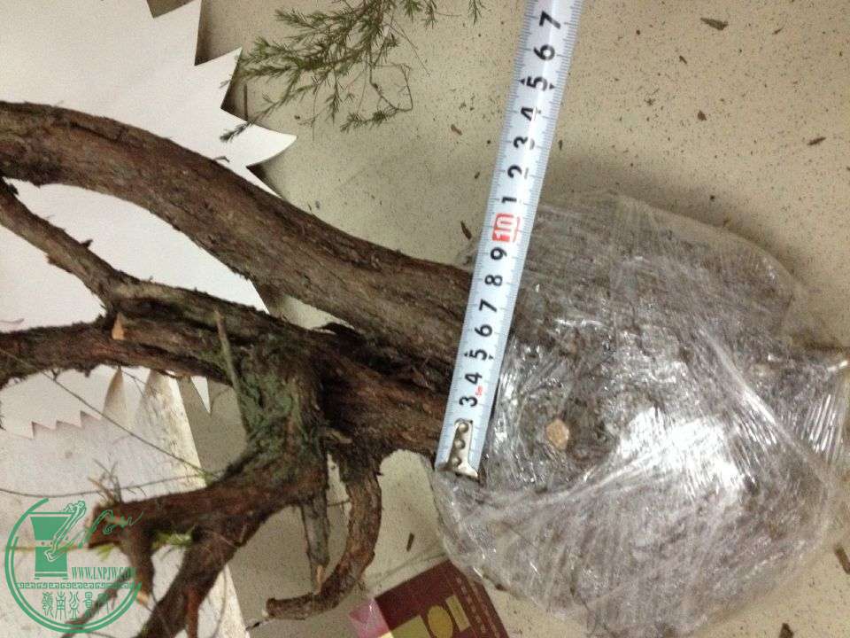 QQͼƬ20160326214624.jpg