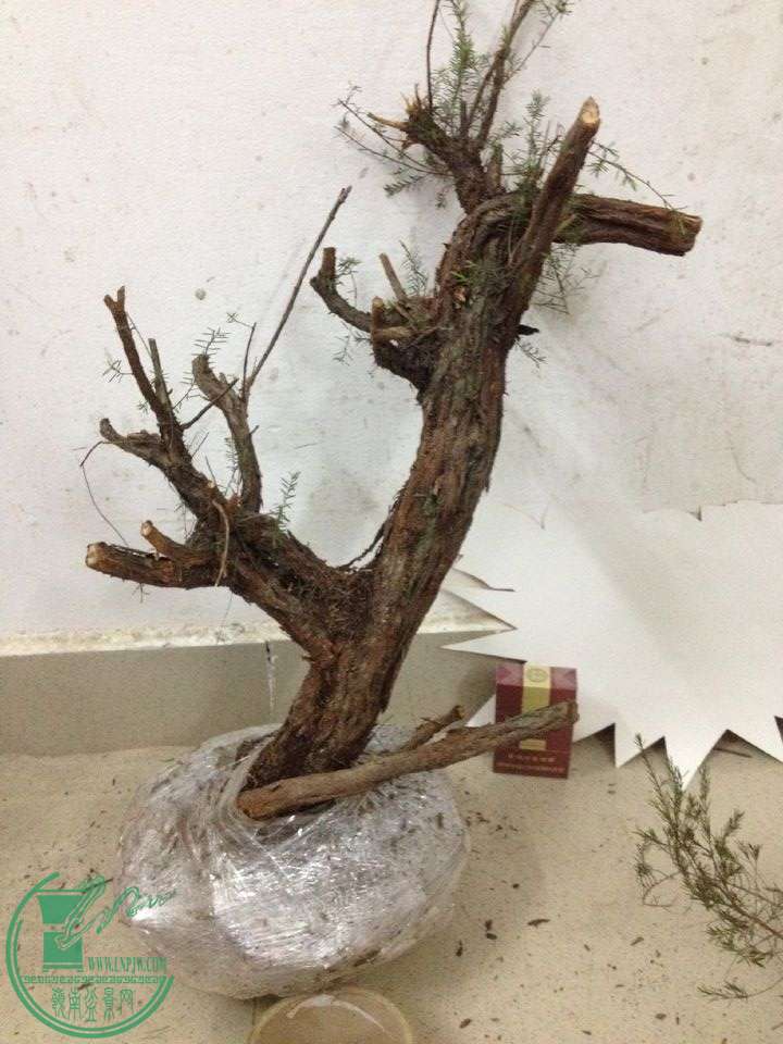 QQͼƬ20160326211439.jpg