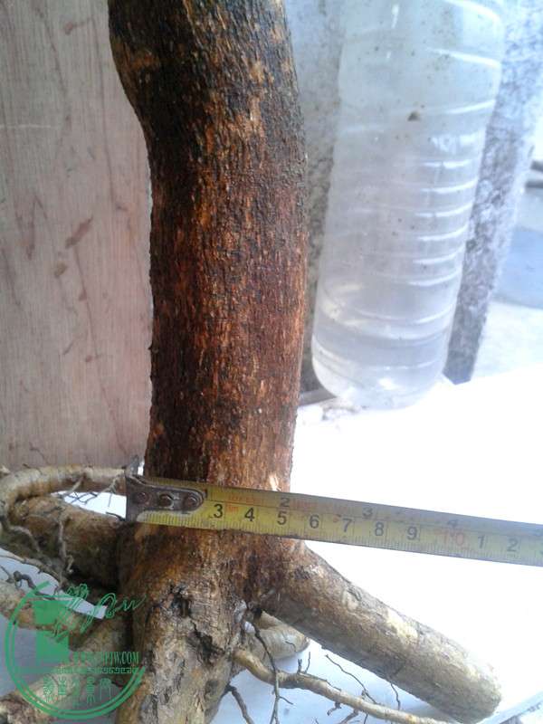 20160326_182657_.jpg
