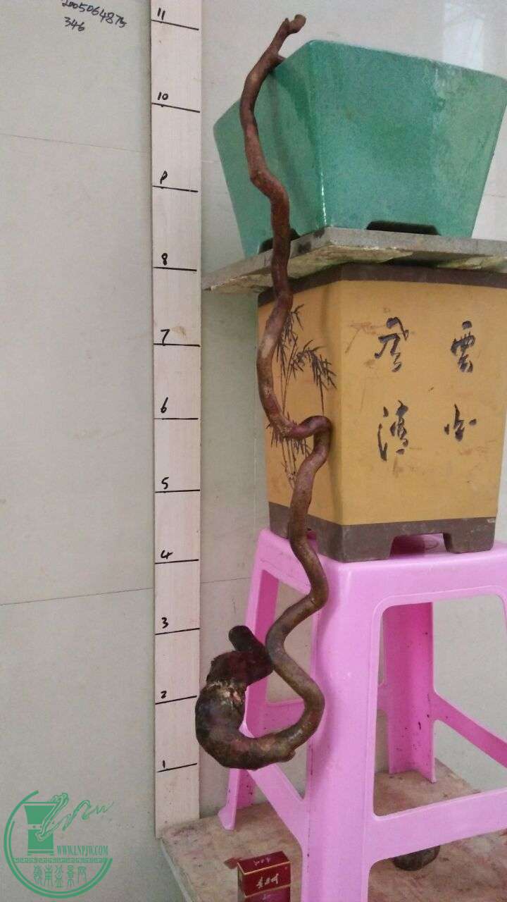 QQͼƬ20160326223151.jpg