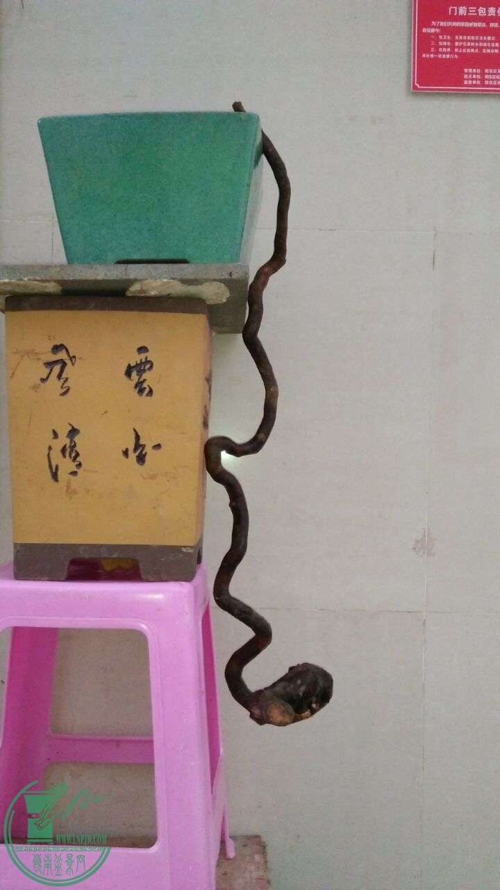 QQͼƬ20160326223118.jpg