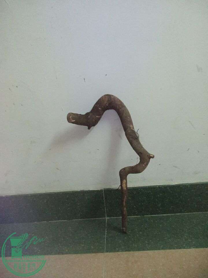 СҶ