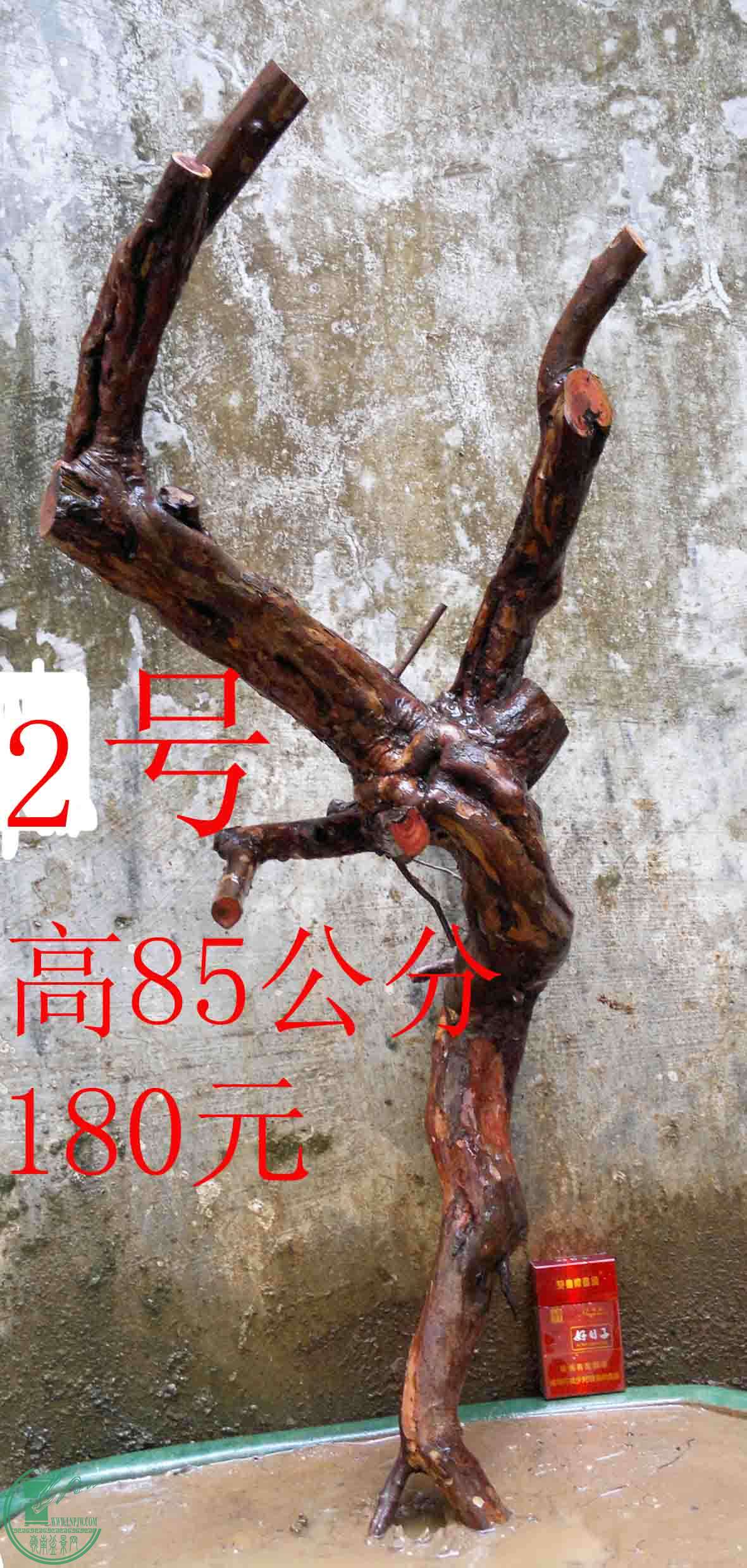 2016032613741.jpg