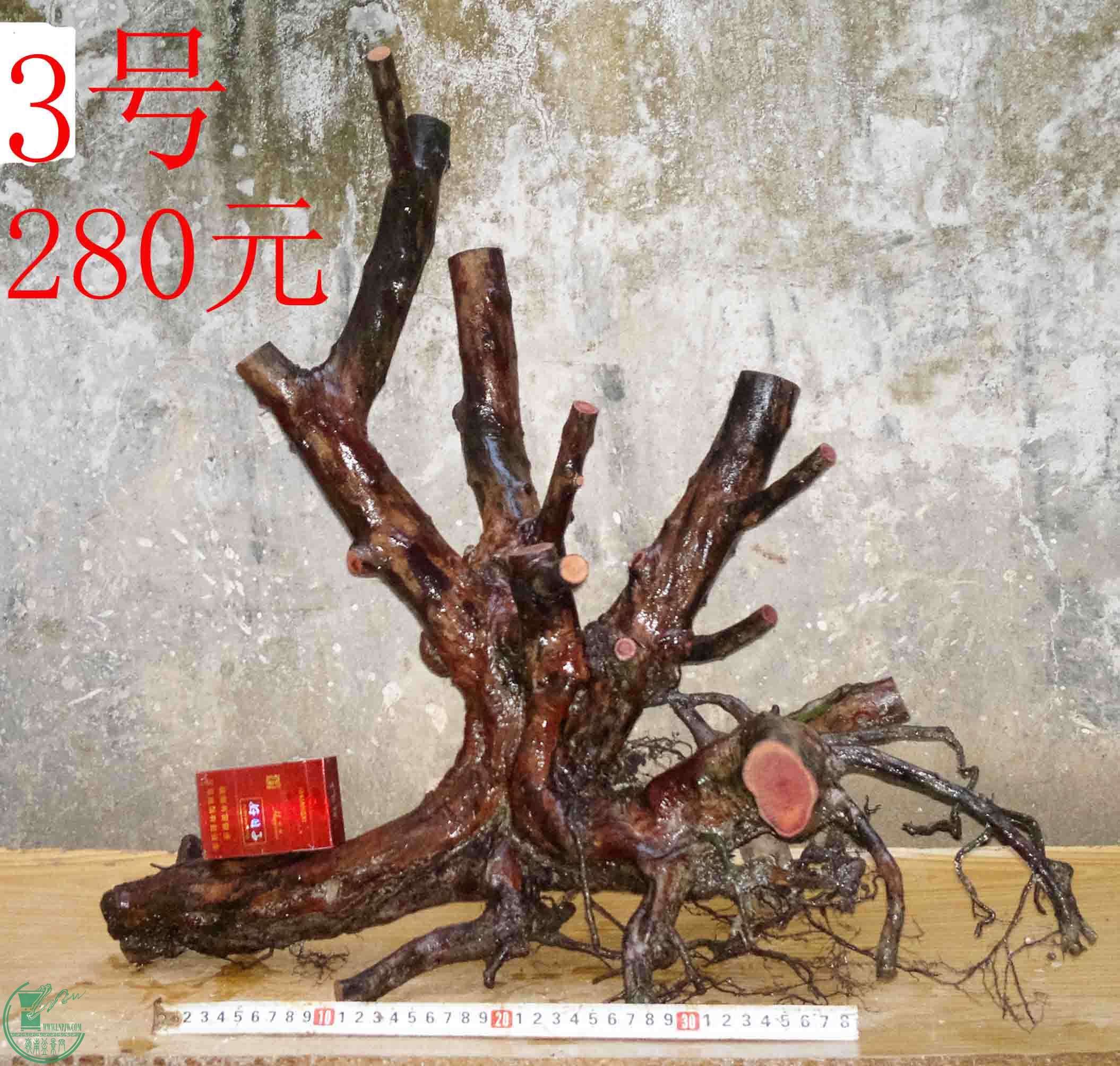 2016032613778.jpg