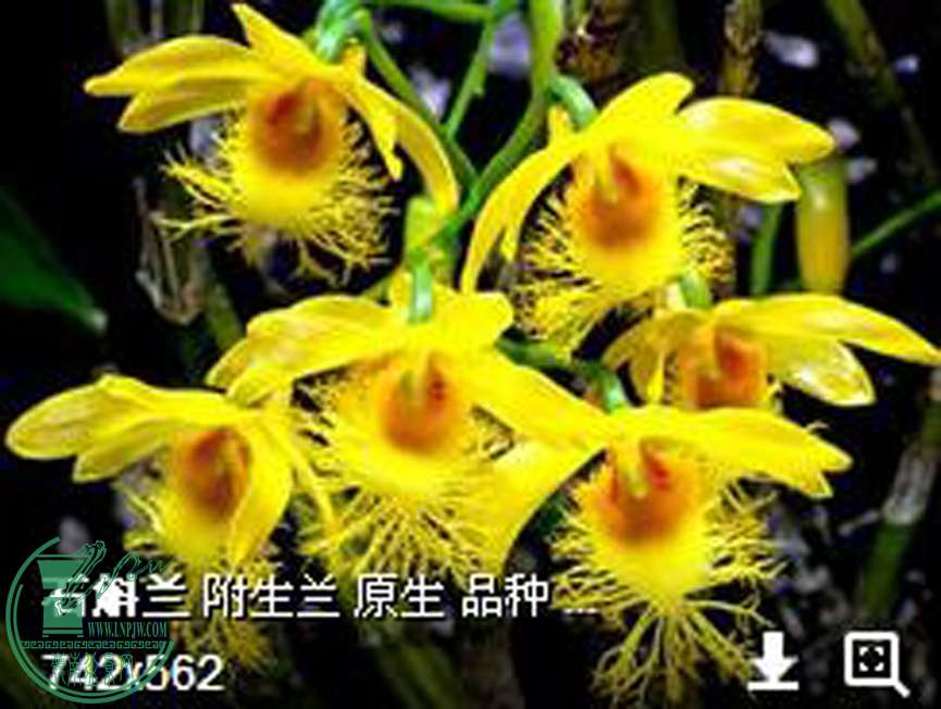 QQͼ20160324141554.jpg