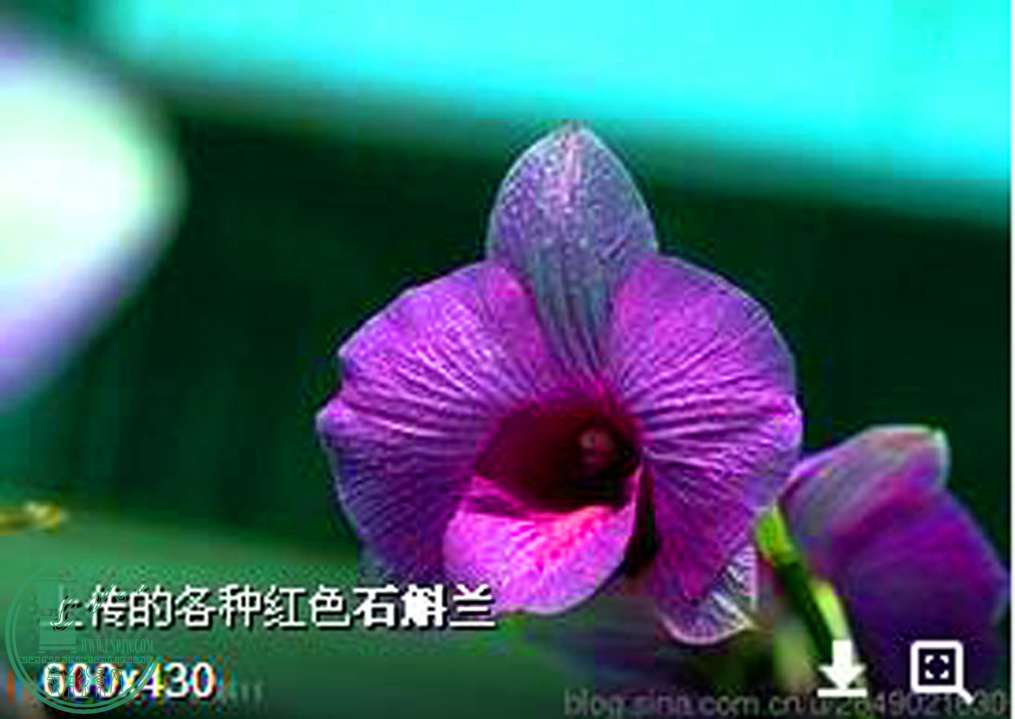QQͼ20160324141815.jpg