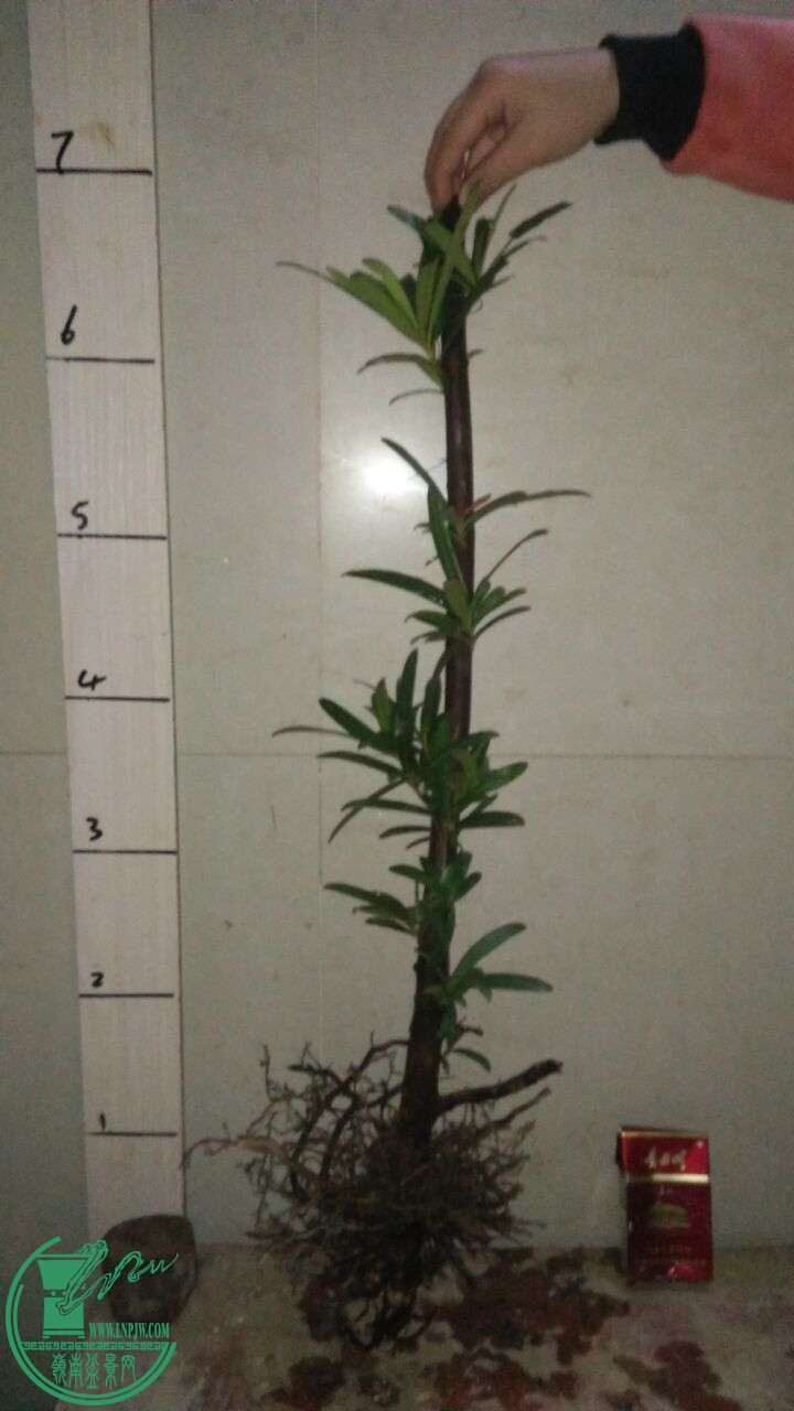 QQͼƬ20160327200318.jpg