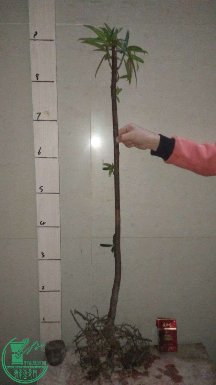 QQͼƬ20160327200215.jpg