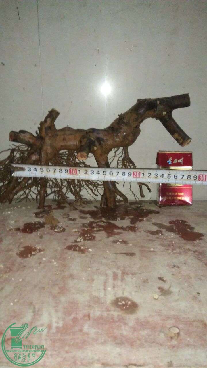 QQͼƬ20160327202904.jpg