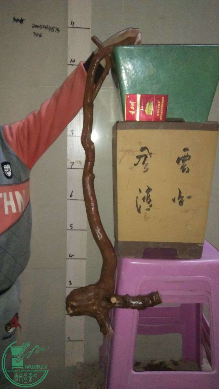 QQͼƬ20160327204734.jpg