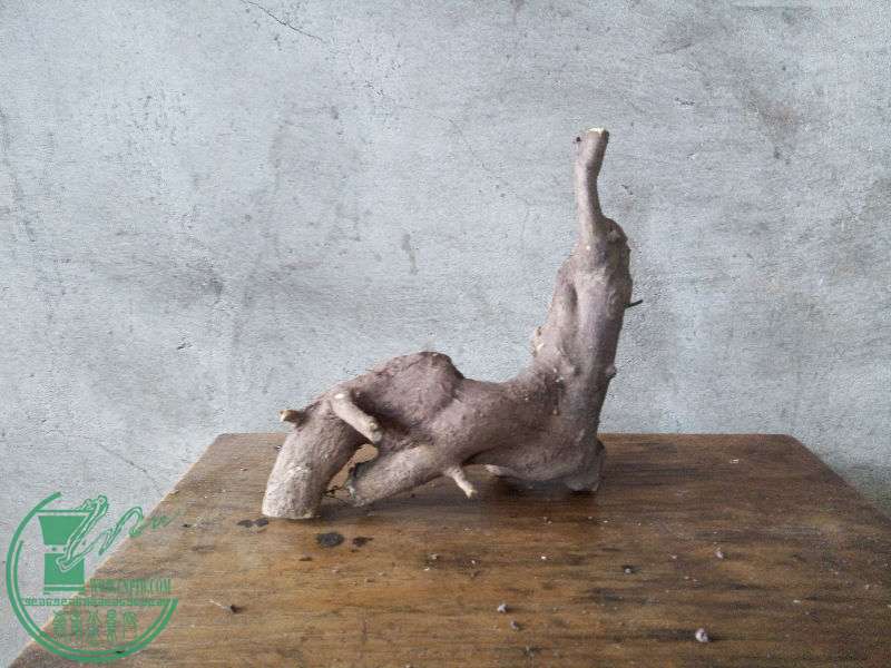 772331