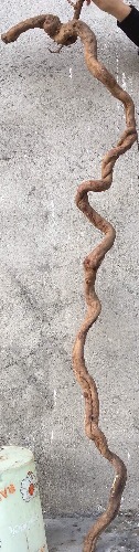 image.jpeg