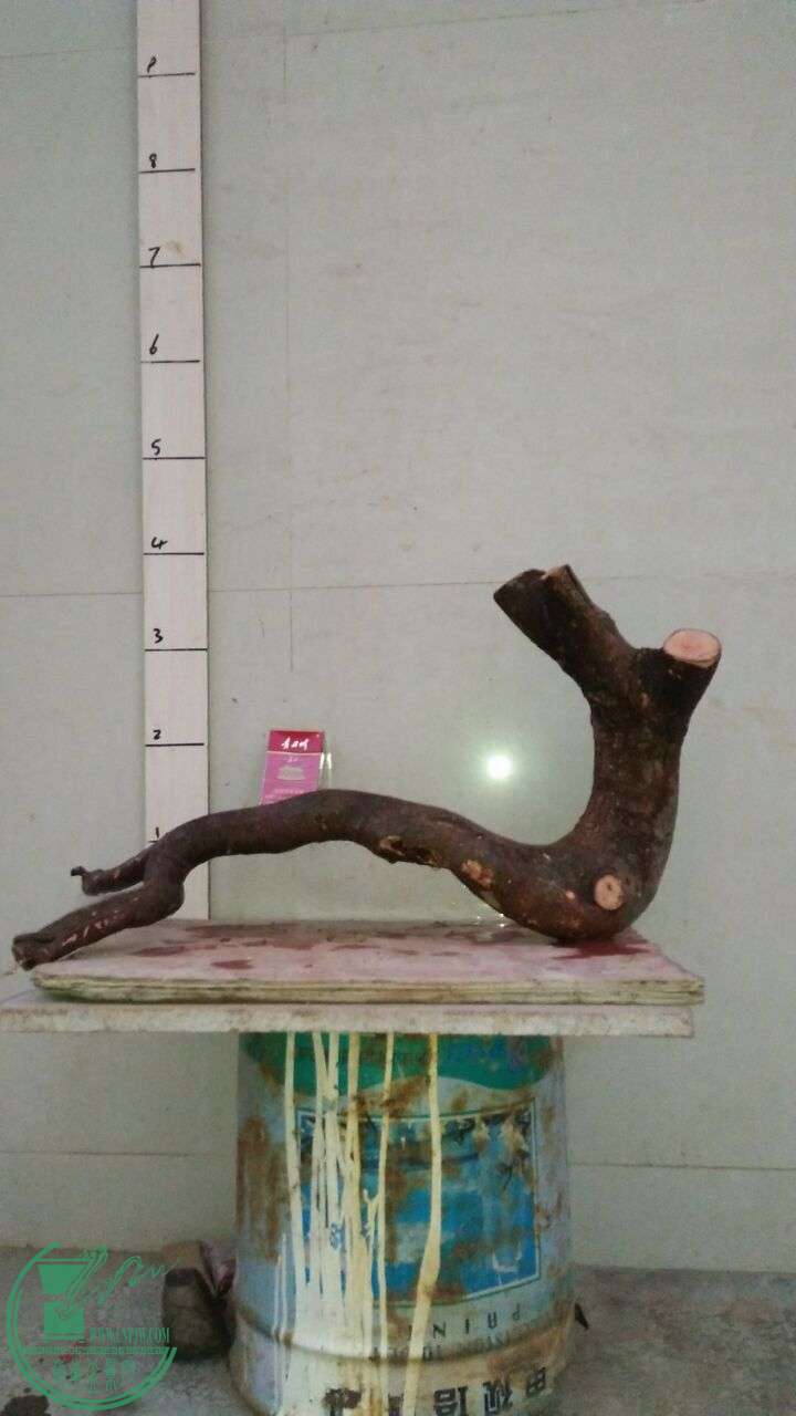 QQͼƬ20160328192652.jpg