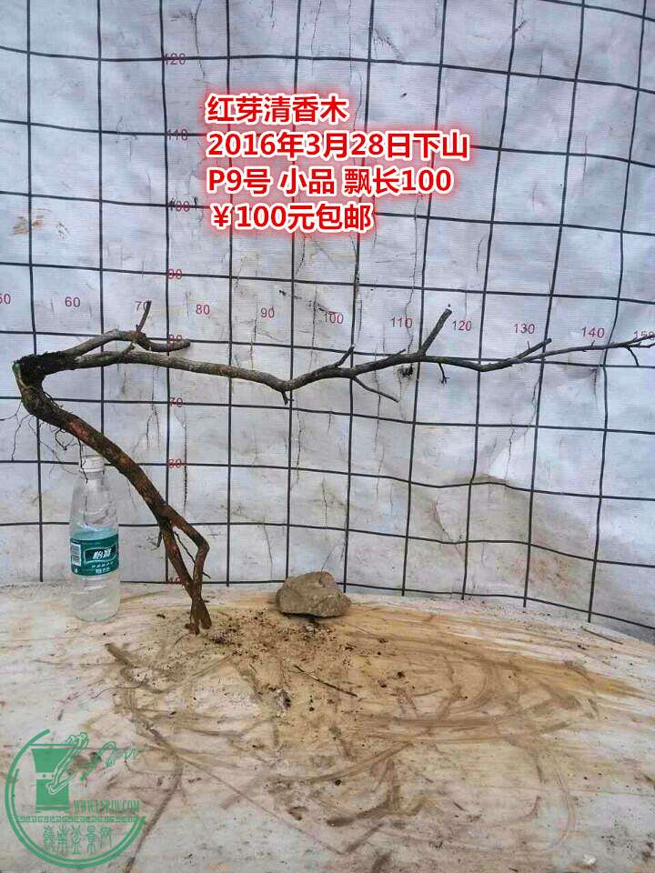 QQͼƬ20160328205635_.jpg