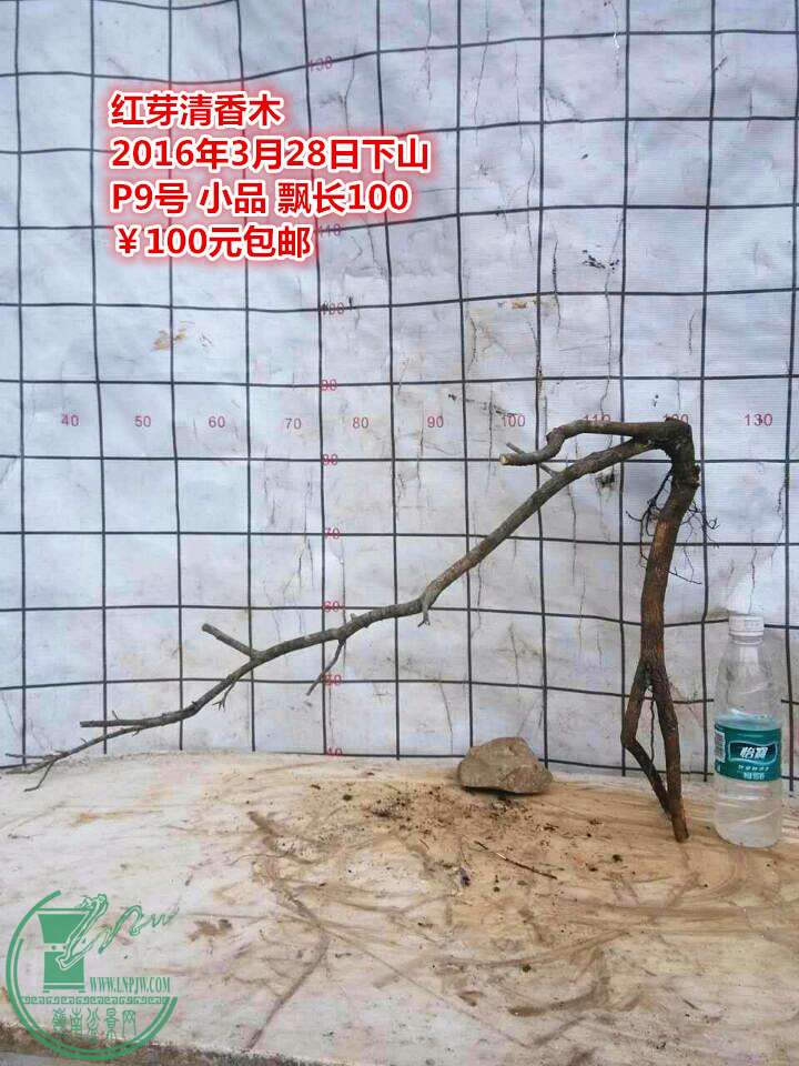 QQͼƬ20160328205638_.jpg
