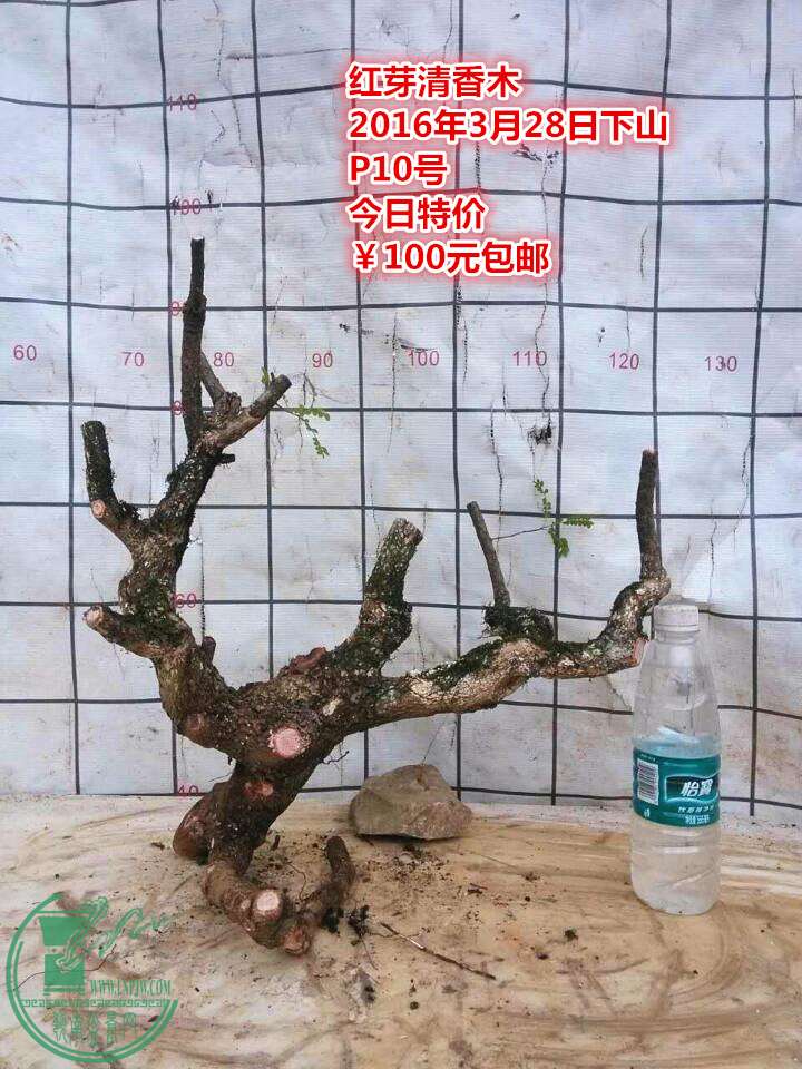 QQͼƬ20160328205642_.jpg