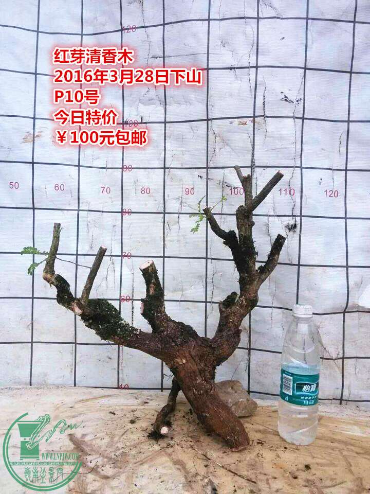 QQͼƬ20160328205644_.jpg