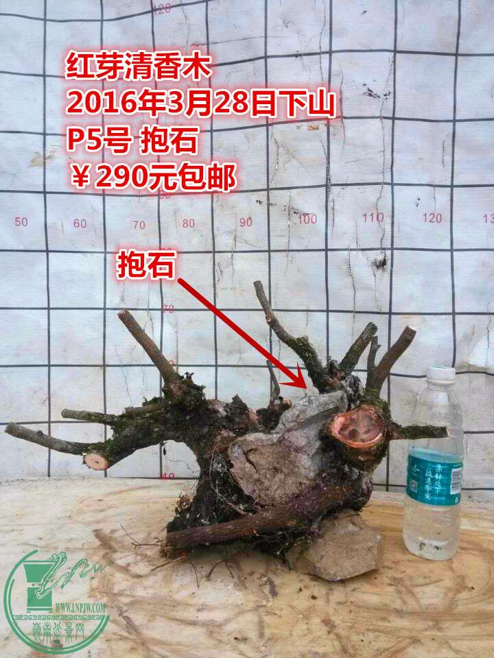 QQͼƬ20160328205612_.jpg