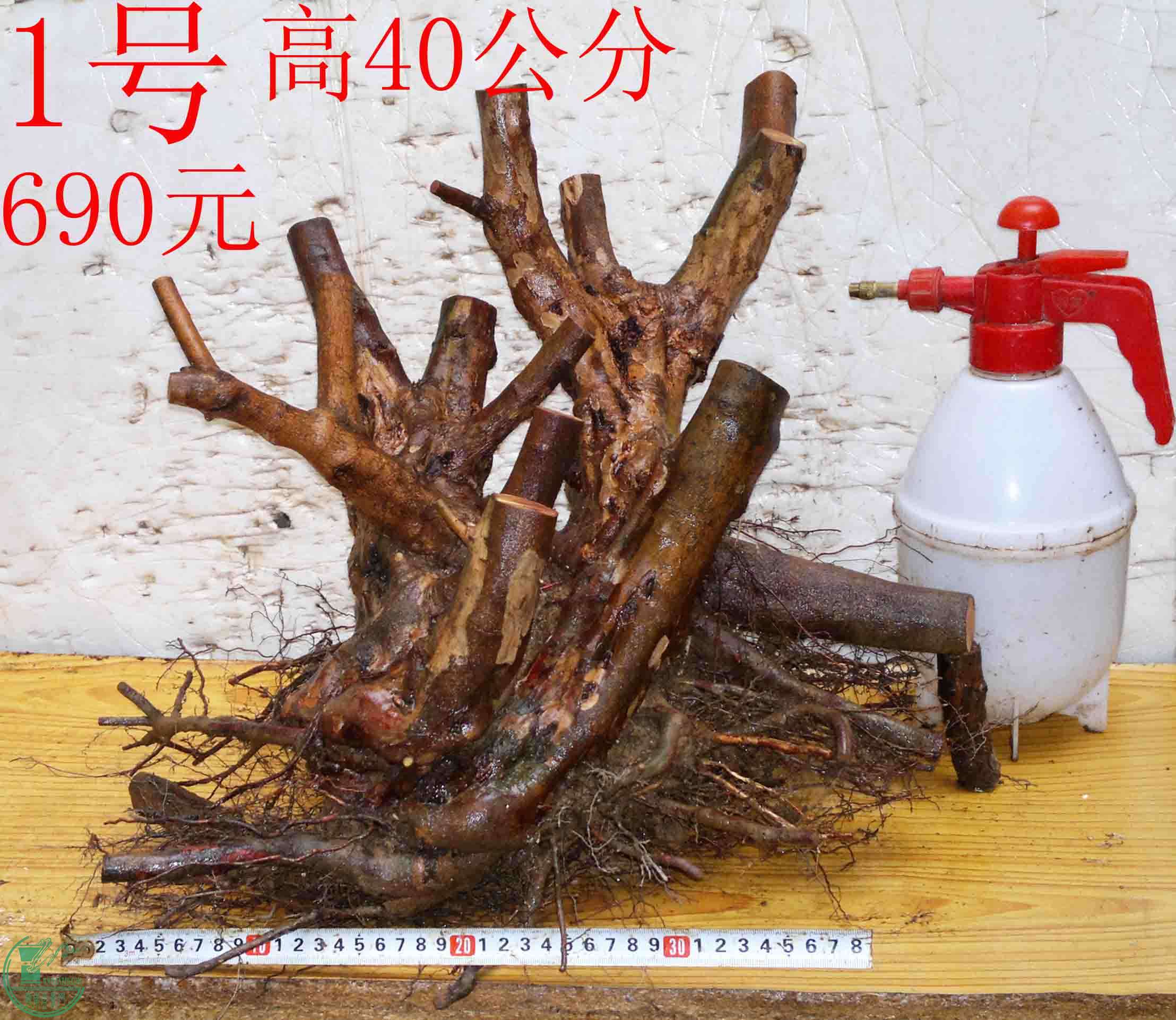 2016032813837.jpg