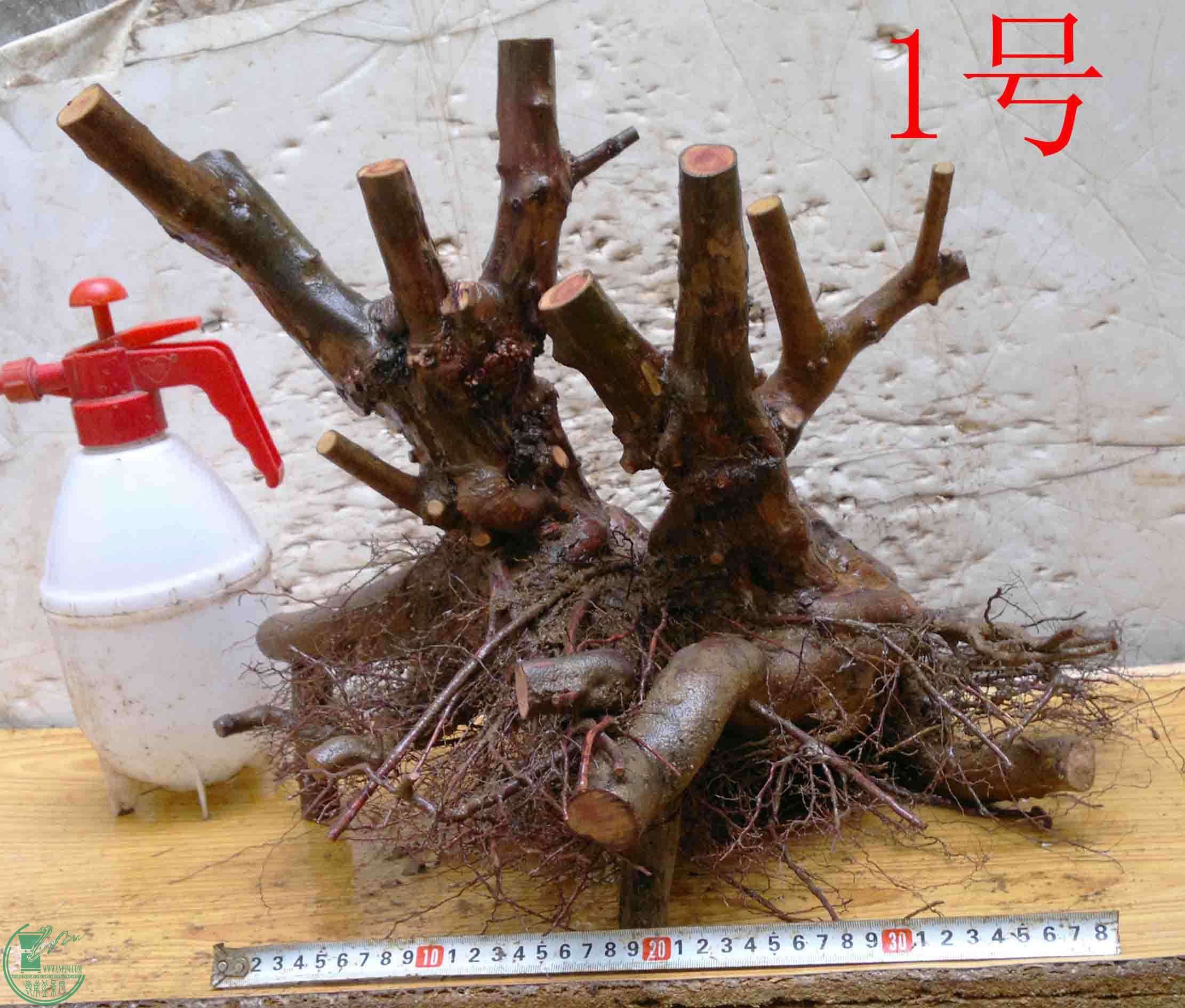 2016032813856.jpg