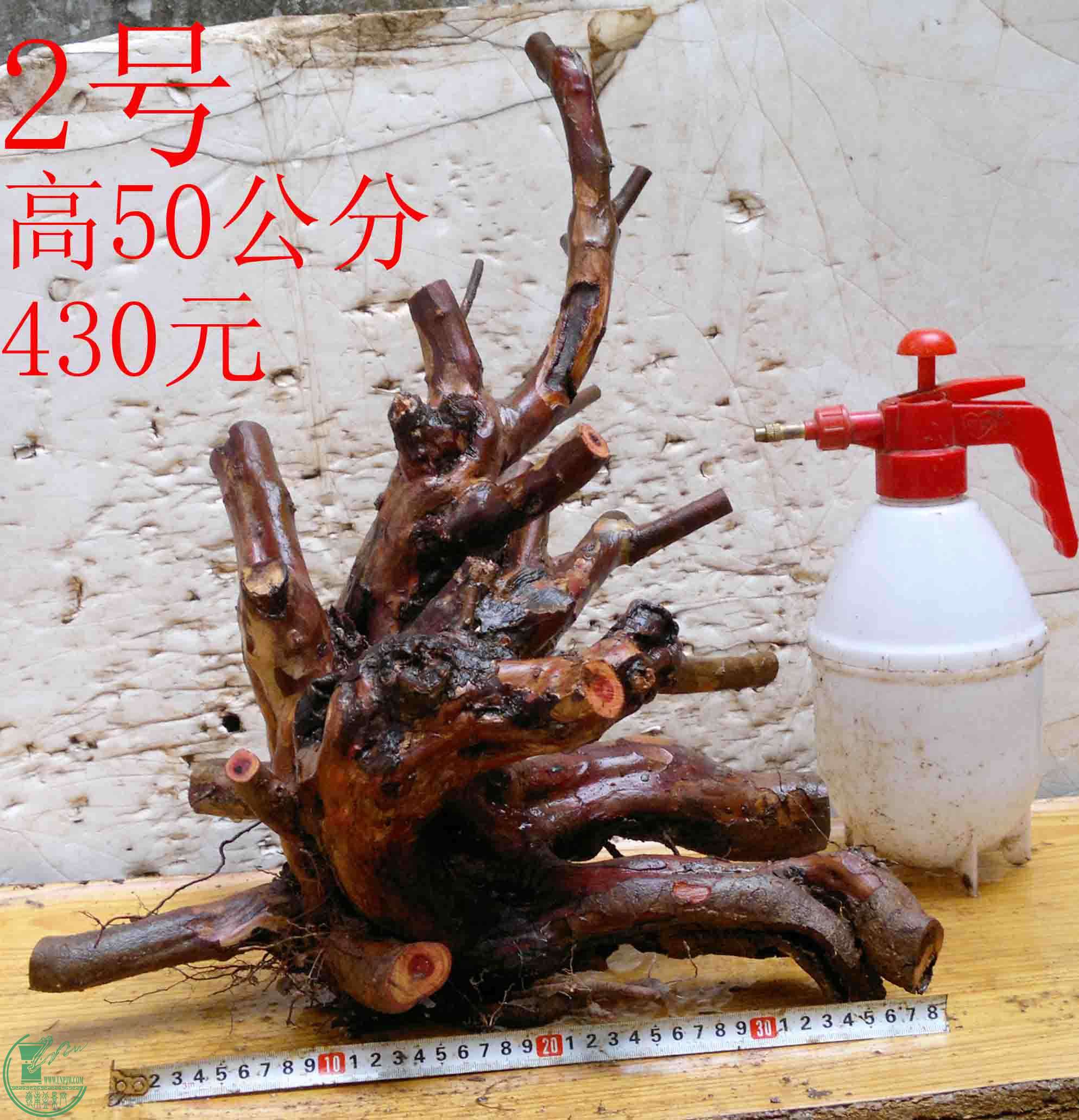 2016032813876.jpg