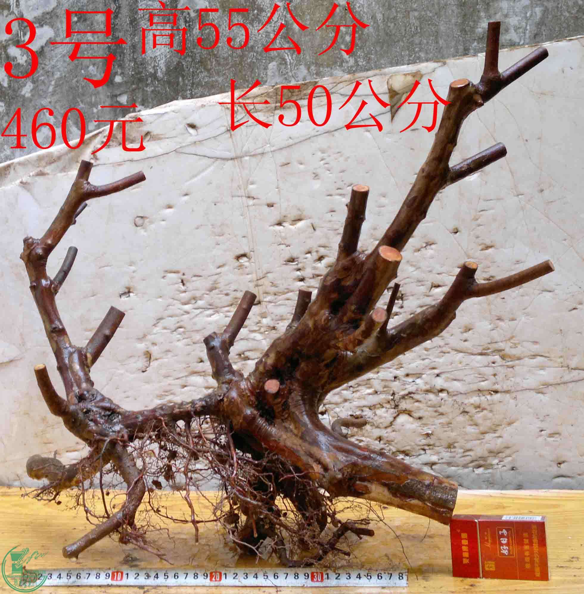 2016032813906.jpg