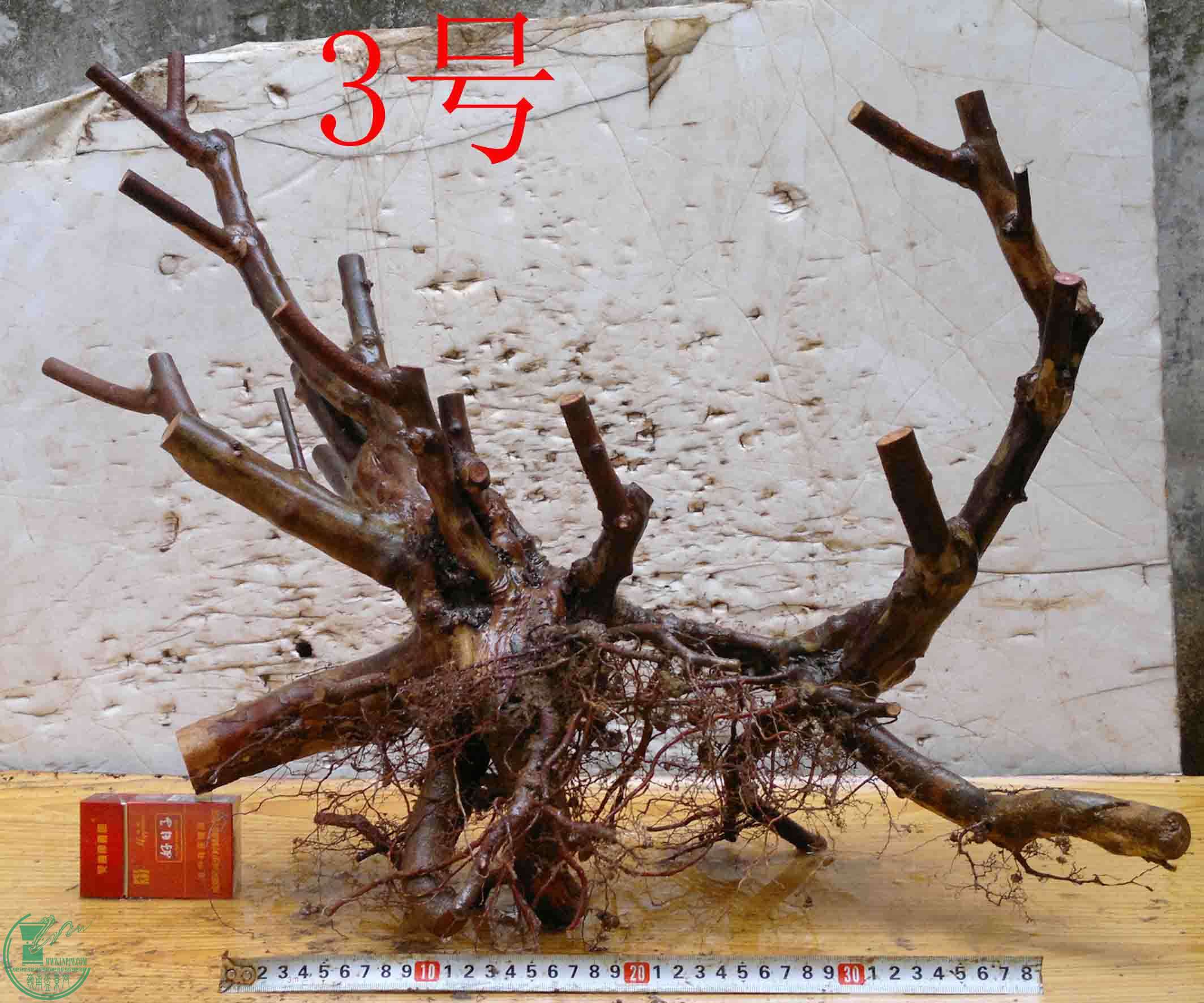 2016032813921.jpg