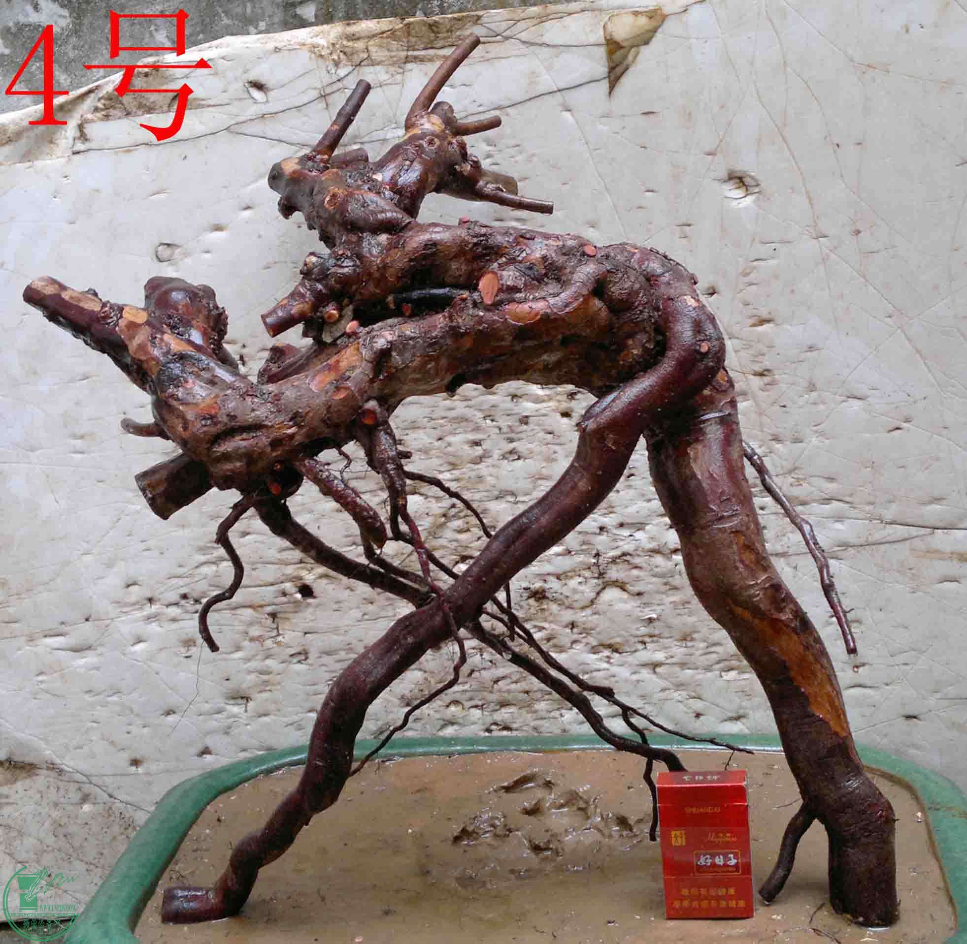 2016032813961.jpg