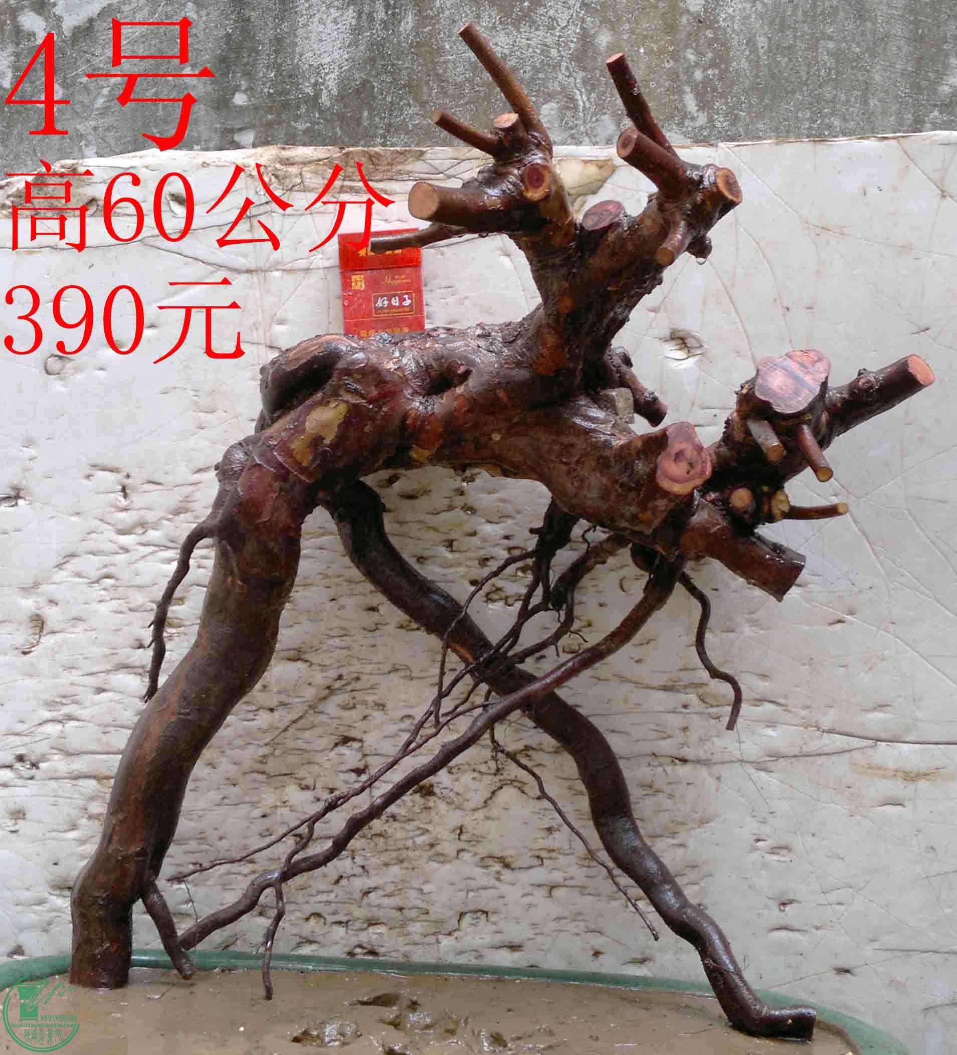 2016032813930.jpg