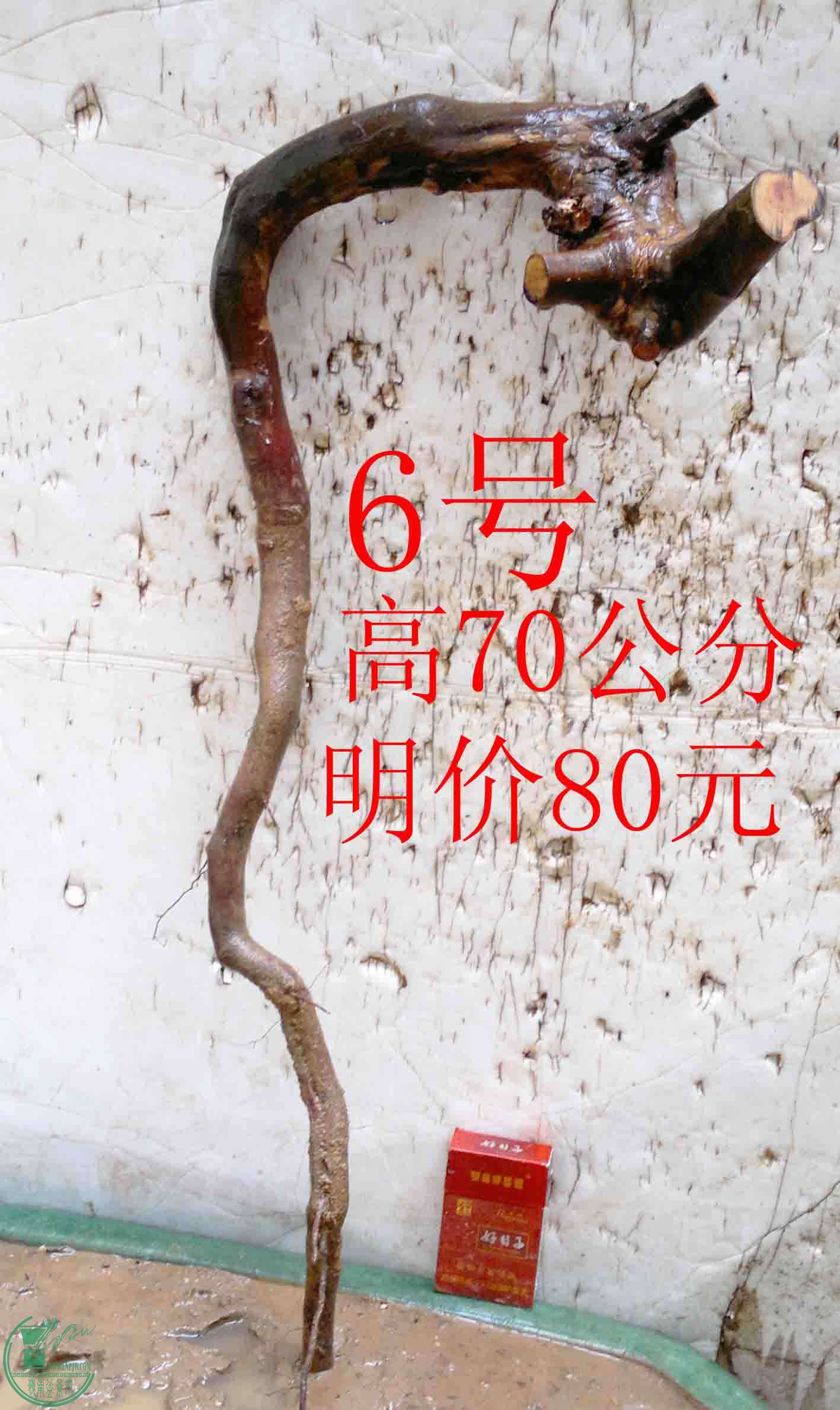2016032813995.jpg